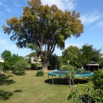 Der Garten