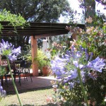 Der Garten